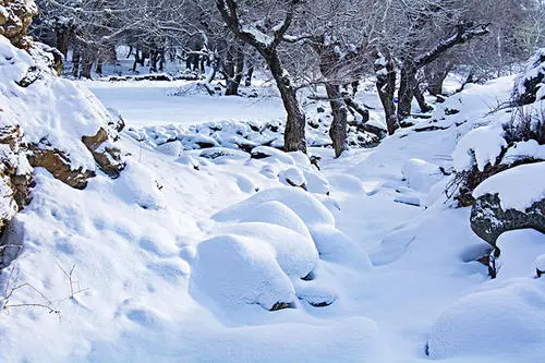 黑龙江暴雪区新增积雪或超40厘米，此次暴雪给当地造成了哪些影响？