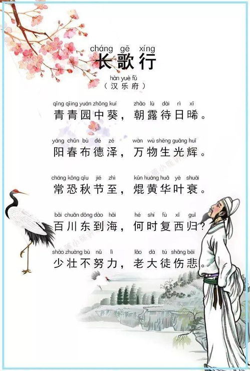 《汉乐府·长歌行》全文