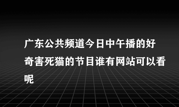 广东公共频道今日中午播的好奇害死猫的节目谁有网站可以看呢