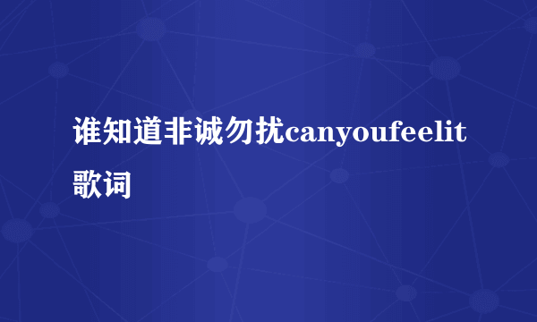 谁知道非诚勿扰canyoufeelit歌词