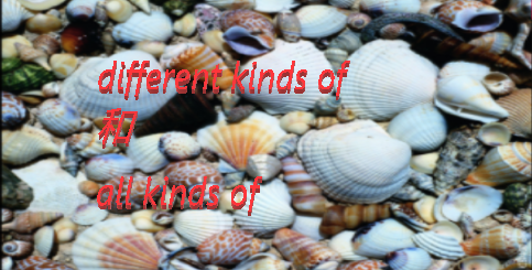 different kinds of和all kinds of的区别