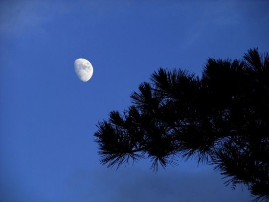 时难年荒世业空，弟兄羁旅各西东是什么诗