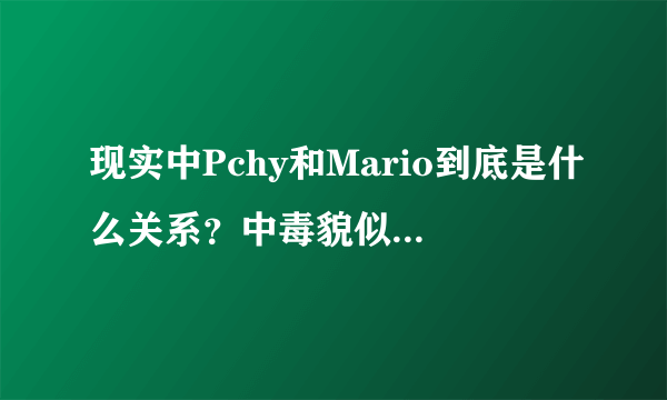 现实中Pchy和Mario到底是什么关系？中毒貌似有点深。。。请大家公正的说，因为我真的很想知道