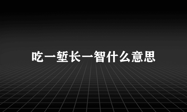 吃一堑长一智什么意思