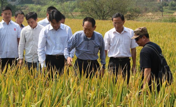 电影《袁隆平》收视创新高，这部电影讲述了什么故事？