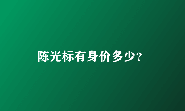 陈光标有身价多少？