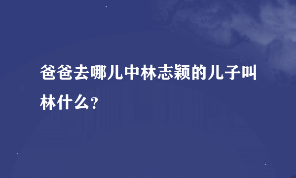 爸爸去哪儿中林志颖的儿子叫林什么？