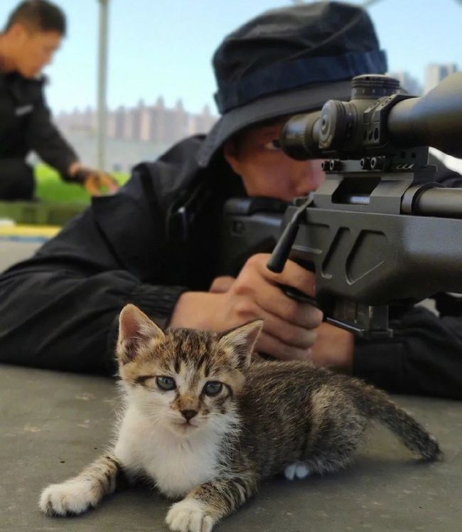 流浪猫获“编制”被消防说教到睡着，这是一种什么画风？