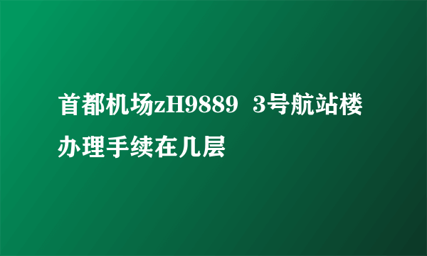 首都机场zH9889  3号航站楼办理手续在几层