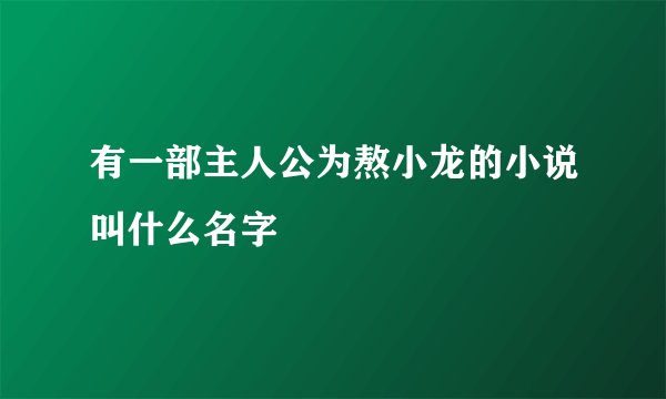 有一部主人公为熬小龙的小说叫什么名字