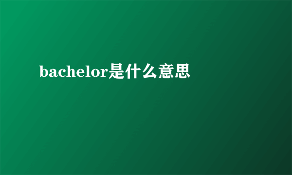 bachelor是什么意思