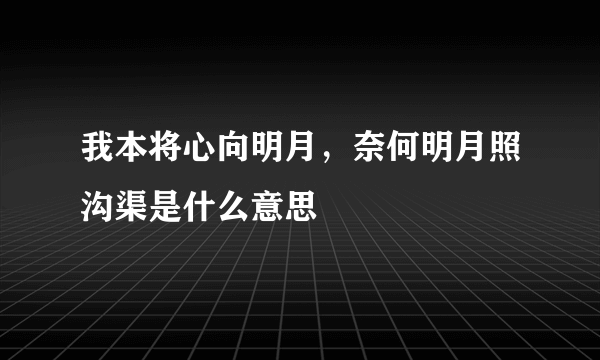 我本将心向明月，奈何明月照沟渠是什么意思