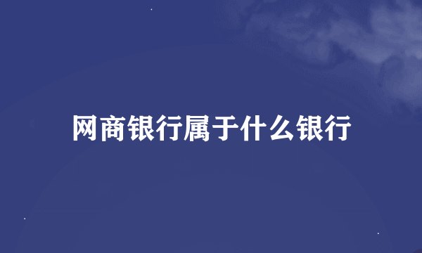 网商银行属于什么银行