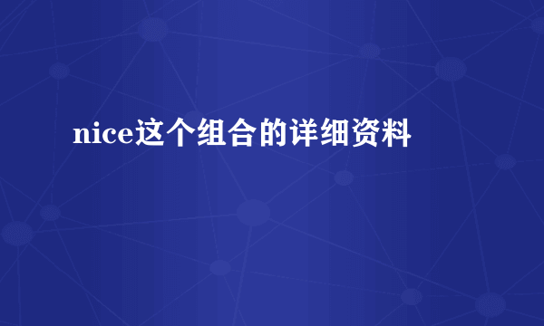 nice这个组合的详细资料