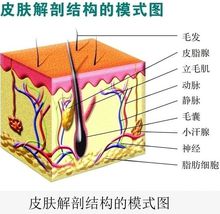 怎样去掉额头上的痘痘