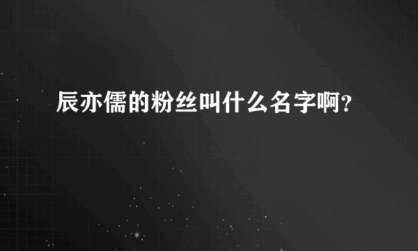 辰亦儒的粉丝叫什么名字啊？