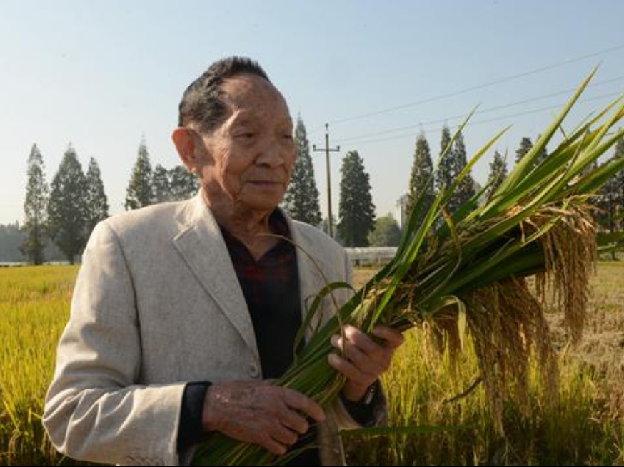 56岁大叔制作泥塑致敬袁隆平，你如何看待这种缅怀方式？