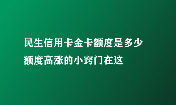 民生信用卡金卡额度是多少 额度高涨的小窍门在这