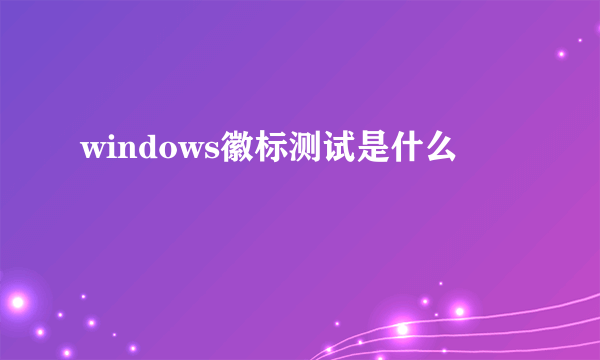 windows徽标测试是什么