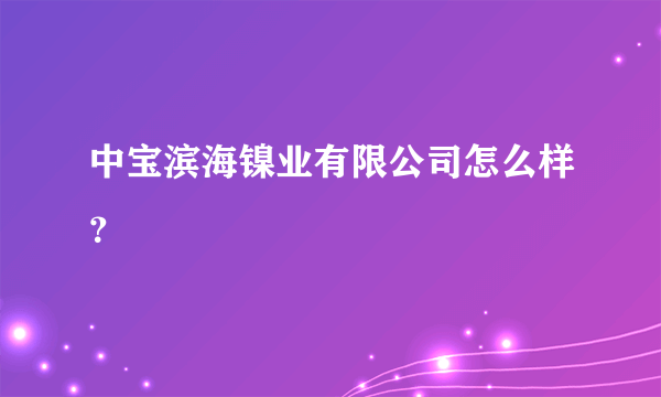 中宝滨海镍业有限公司怎么样？