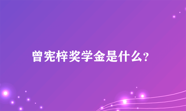 曾宪梓奖学金是什么？