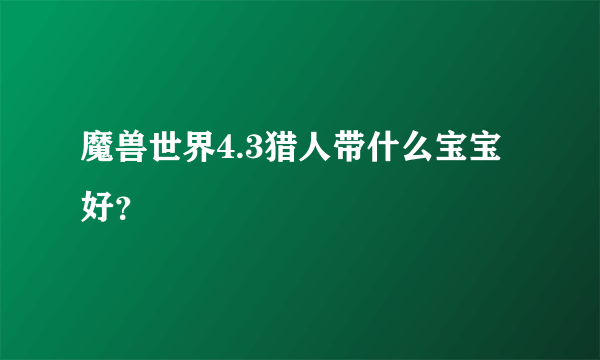 魔兽世界4.3猎人带什么宝宝好？