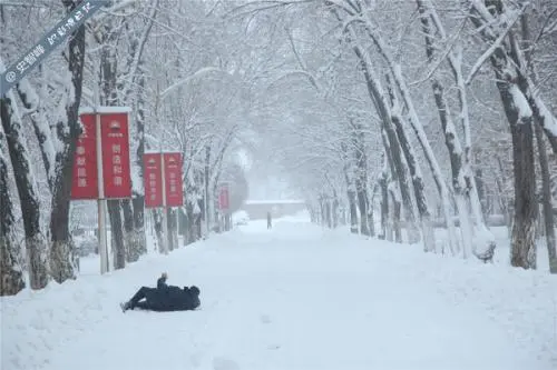 黑龙江暴雪区新增积雪或超40厘米，此次暴雪给当地造成了哪些影响？