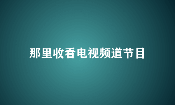 那里收看电视频道节目