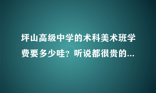 坪山高级中学的术科美术班学费要多少哇？听说都很贵的呢~？准备选术科，可是家庭资金短缺啊...