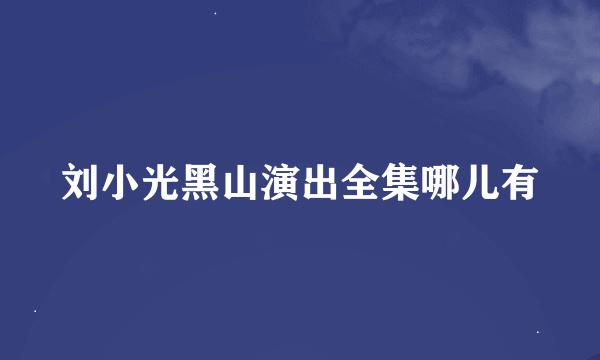 刘小光黑山演出全集哪儿有