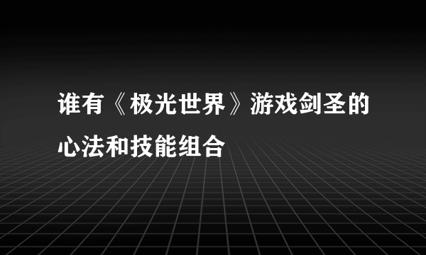 谁有《极光世界》游戏剑圣的心法和技能组合