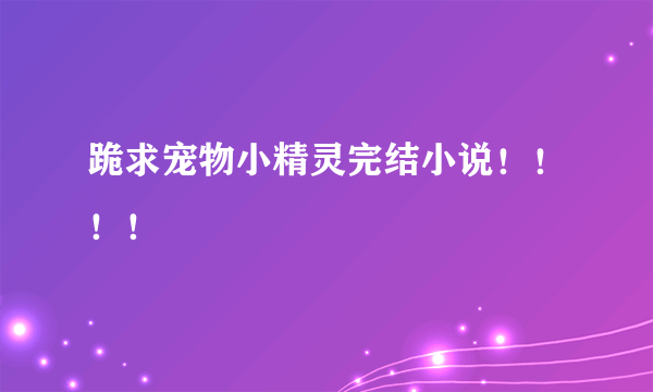 跪求宠物小精灵完结小说！！！！