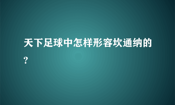 天下足球中怎样形容坎通纳的?