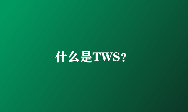 什么是TWS？