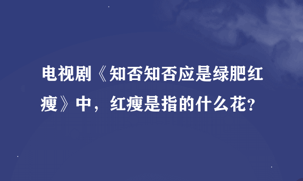 电视剧《知否知否应是绿肥红瘦》中，红瘦是指的什么花？