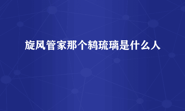 旋风管家那个鸫琉璃是什么人