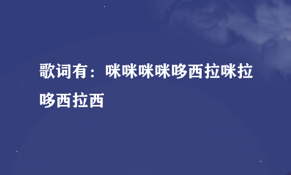 歌词有：咪咪咪咪哆西拉咪拉哆西拉西