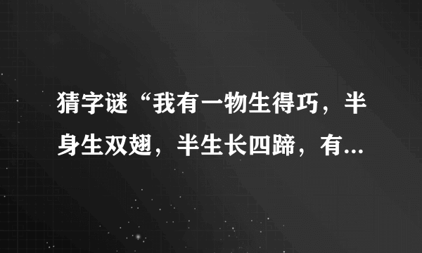 猜字谜“我有一物生得巧，半身生双翅，半生长四蹄，有蹄跑不快，有翅飞不好”