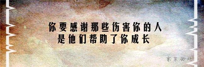 感恩伤害我的人共8句是什么？