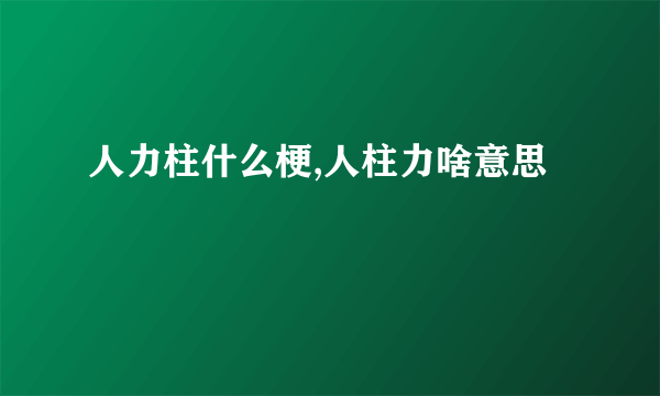 人力柱什么梗,人柱力啥意思