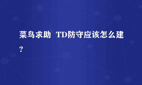 菜鸟求助  TD防守应该怎么建？