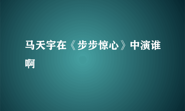 马天宇在《步步惊心》中演谁啊