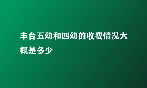 丰台五幼和四幼的收费情况大概是多少