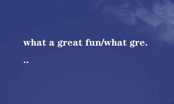 what a great fun/what great fun为什么不可以用how great fun