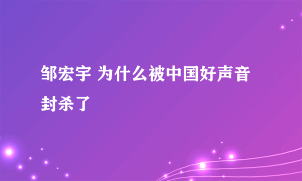 邹宏宇 为什么被中国好声音封杀了