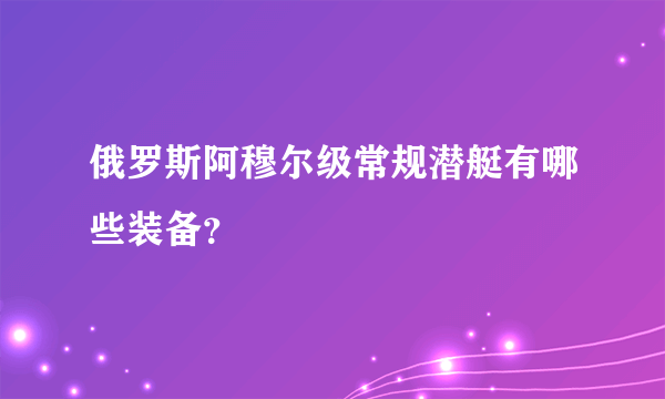 俄罗斯阿穆尔级常规潜艇有哪些装备？