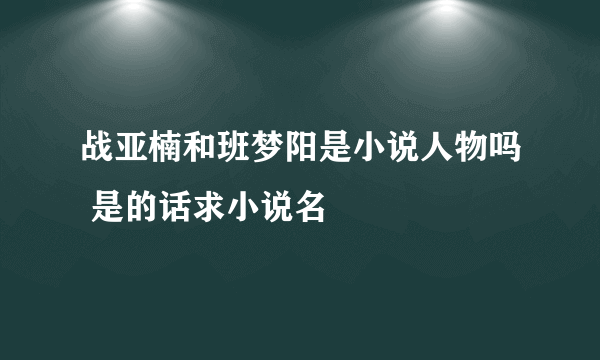 战亚楠和班梦阳是小说人物吗 是的话求小说名