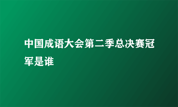 中国成语大会第二季总决赛冠军是谁