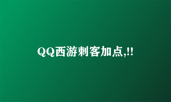 QQ西游刺客加点,!!