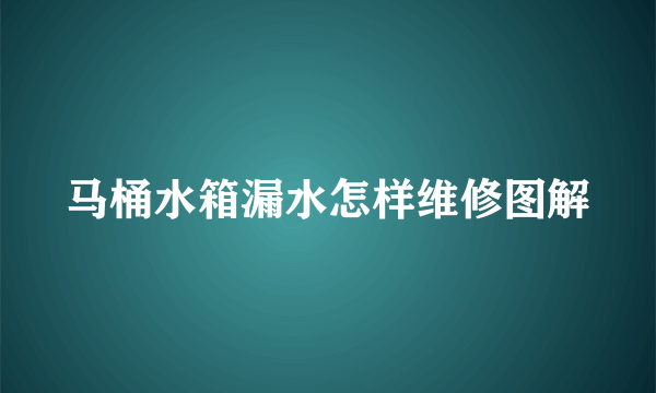 马桶水箱漏水怎样维修图解